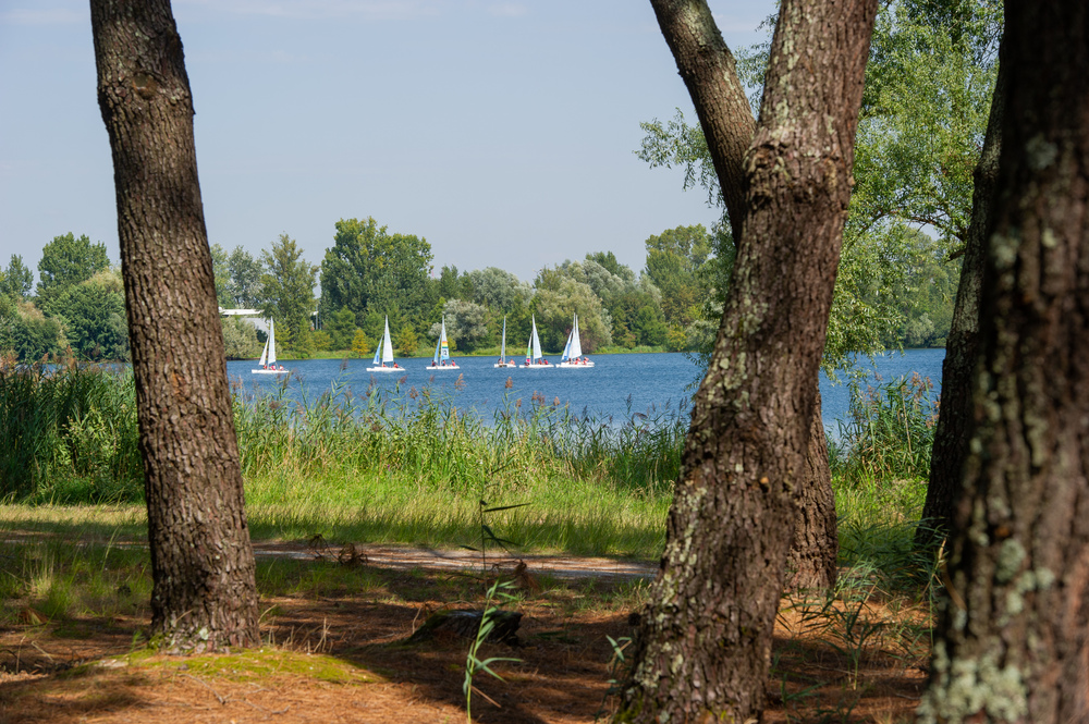 Rejoindre la plage sans voiture depuis Bordeaux - 5 alternatives ...